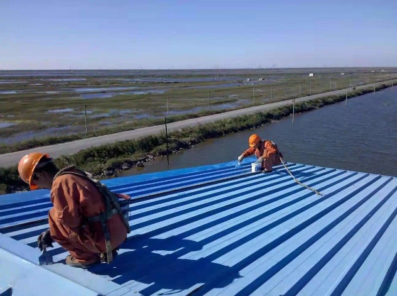 排湖风景区钢结构屋面漏水原因